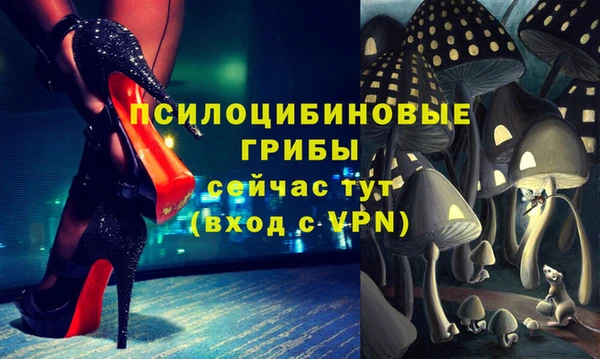 соль ск Аркадак